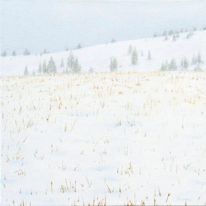 Chief Joseph | 12"x12" | Oil on Canvas